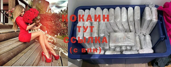 индика Алзамай