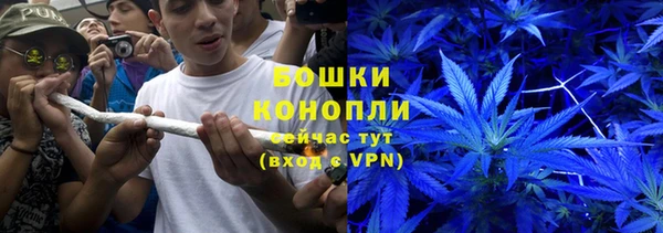 амф Алексин