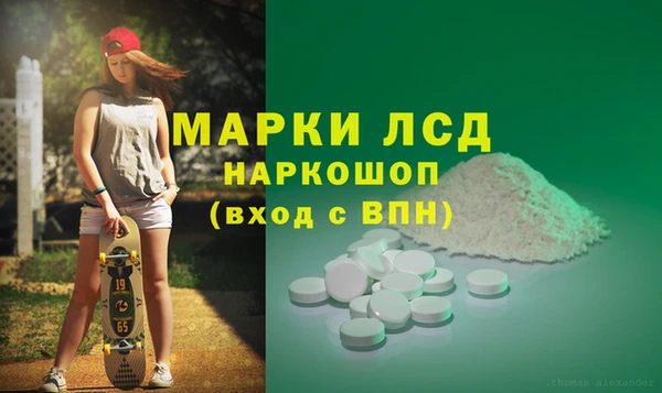 индика Алзамай