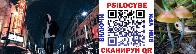 blacksprut ссылки  Омутнинск  Псилоцибиновые грибы мухоморы 